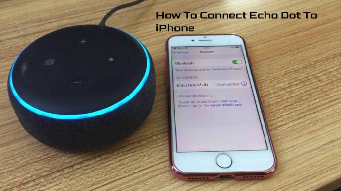 How To Connect Echo Dot To iPhone