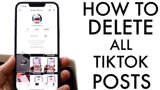 How To Delete A TikTok Video Post
